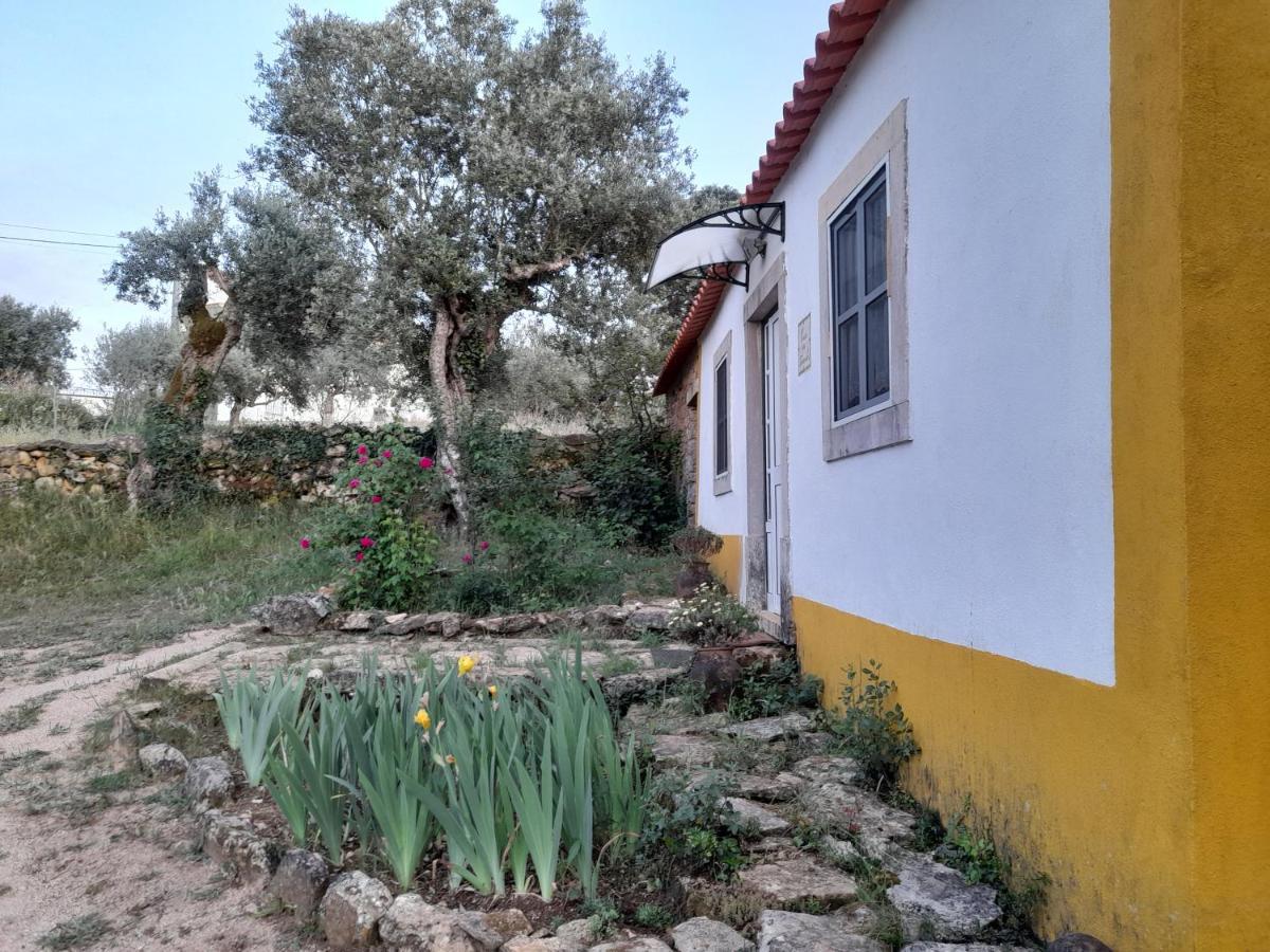 فيلا Casa Dos Terranhos تومار المظهر الخارجي الصورة