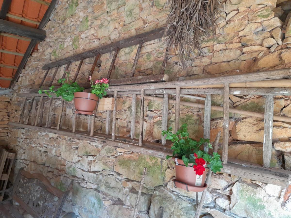 فيلا Casa Dos Terranhos تومار المظهر الخارجي الصورة
